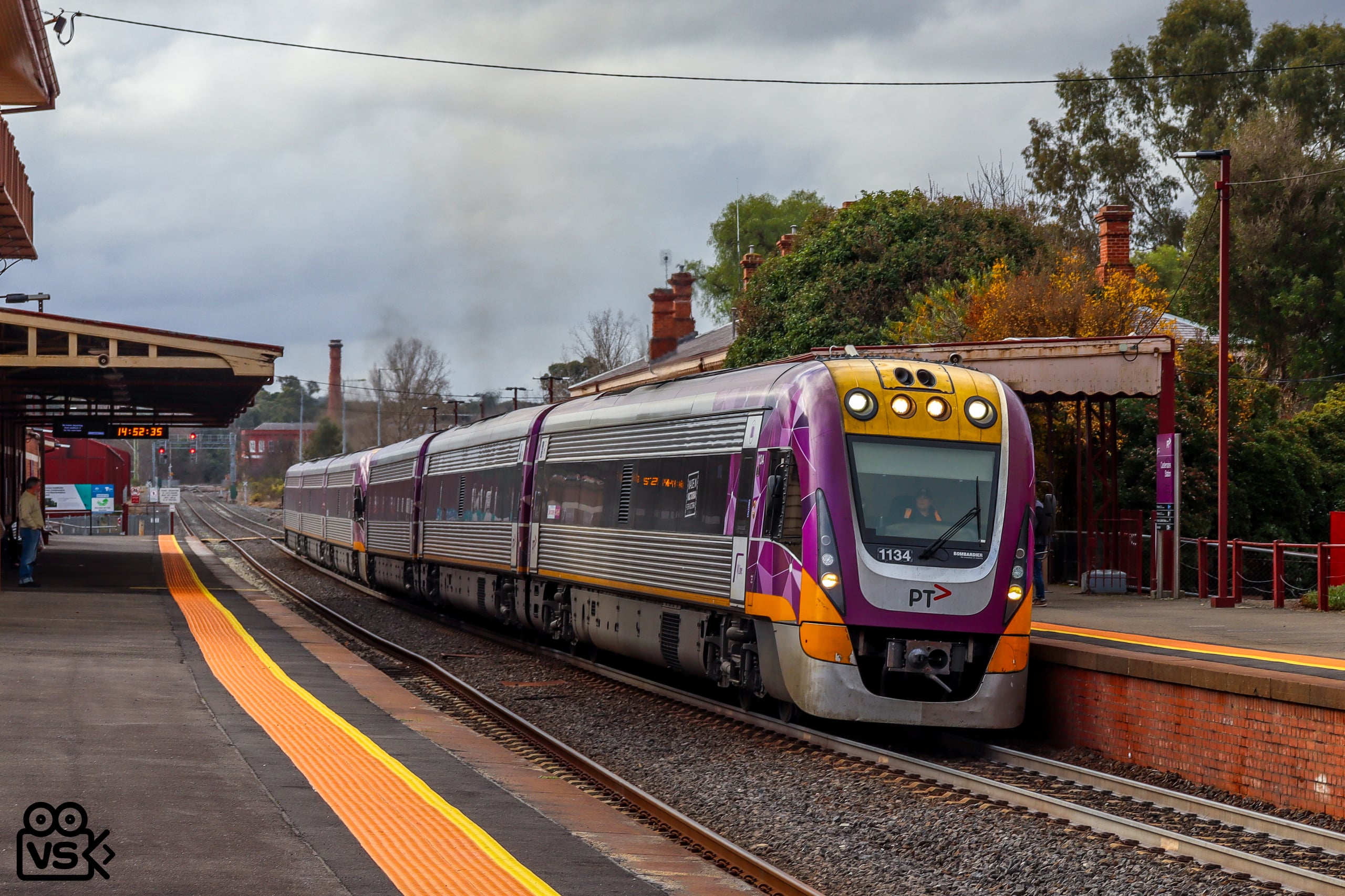 8036, Castlemaine